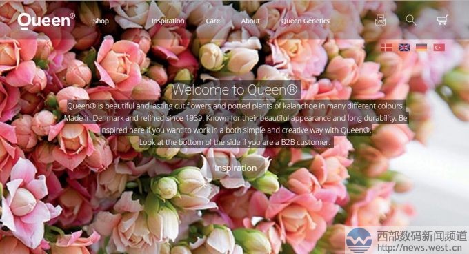 鲜花终端被判反向劫持域名!身价超800万的Queen.com仍归域名大王