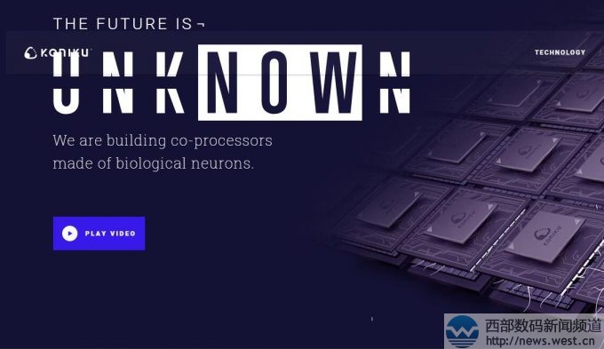 Ϊ���������ն˻�20��Ԫ��MikeMann���������������